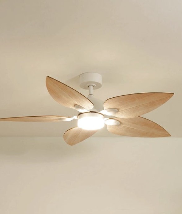Ventilateur de plafond avec...