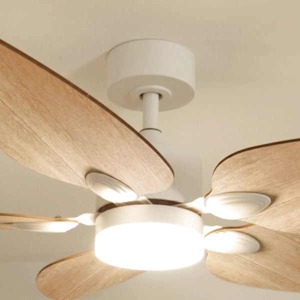 Ventilateur de plafond avec lumière Virevole teinté Chêne