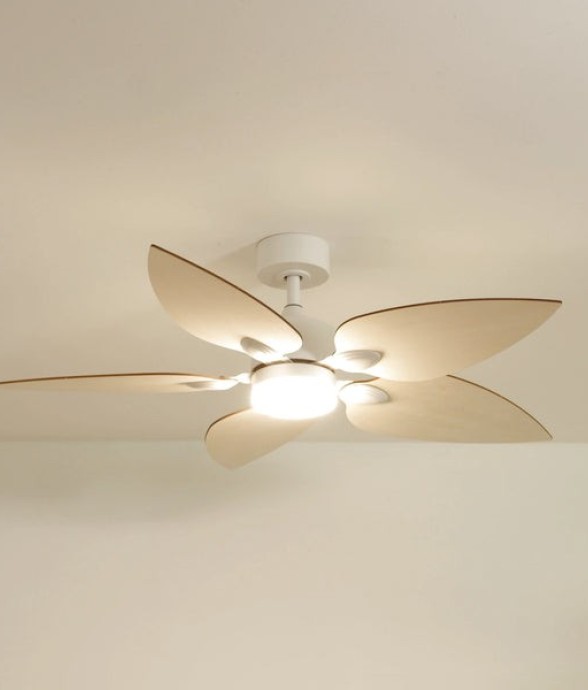 Ventilateur de plafond avec...