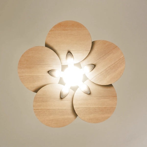 Ventilateur de plafond avec lumière Lotus teinté Chêne