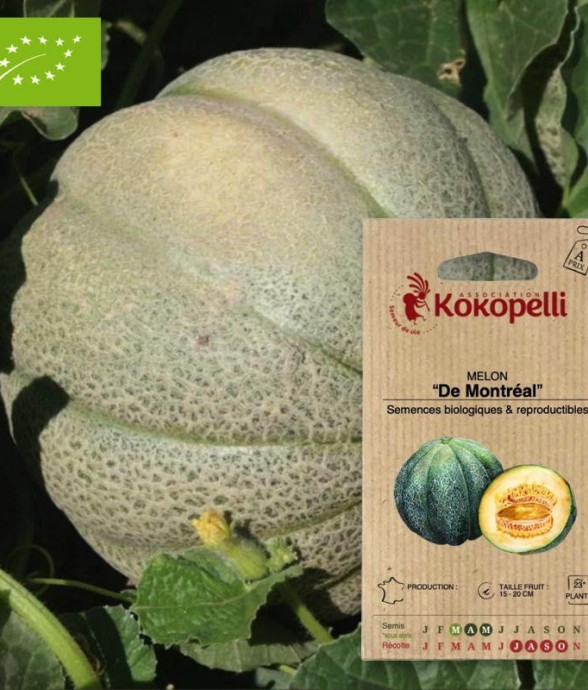 Melon De Montréal- Graines...