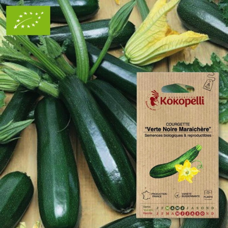 Courgette Verte Noire Maraichère- Graines bio à semer