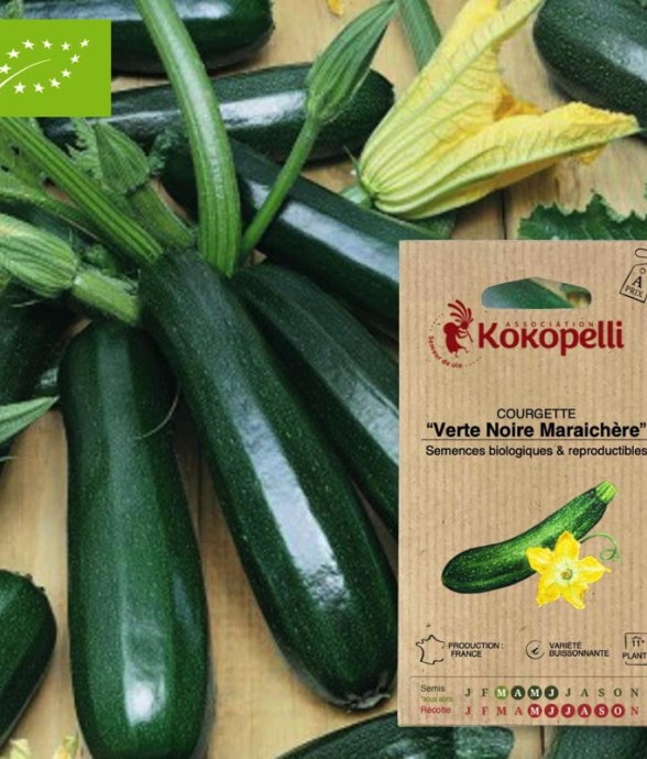 Courgette Verte Noire...