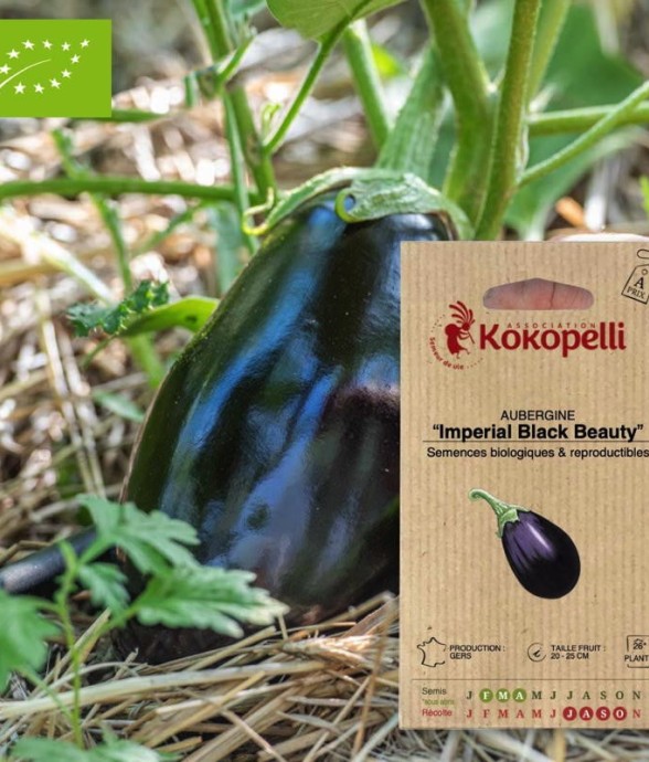 Aubergine Imperial Black...