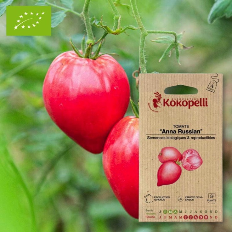Tomate Anna Russian- Graines bio à semer