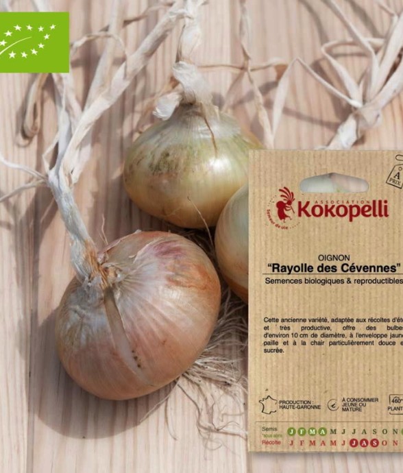 Oignon Rayolle des...