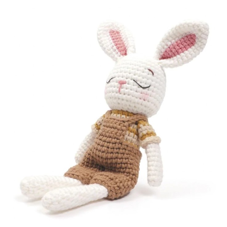 KIT MON AMI GURUMI LAPIN