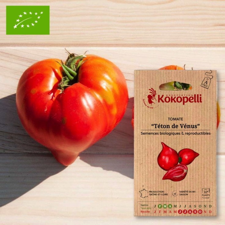 Tomate Rouge Mi-Saison Téton de Vénus- Graines bio à semer
