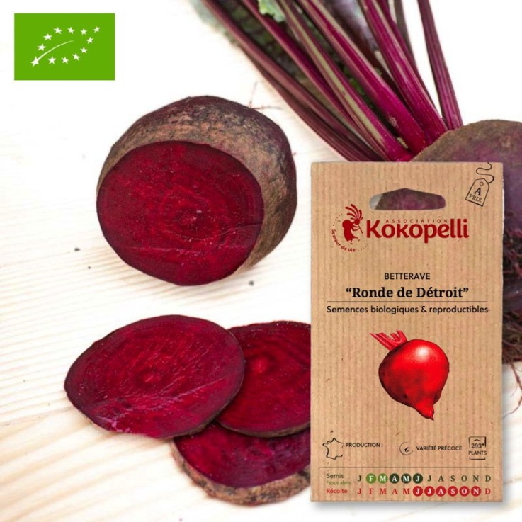 Betterave Rouge Ronde de Détroit- Graines bio à semer