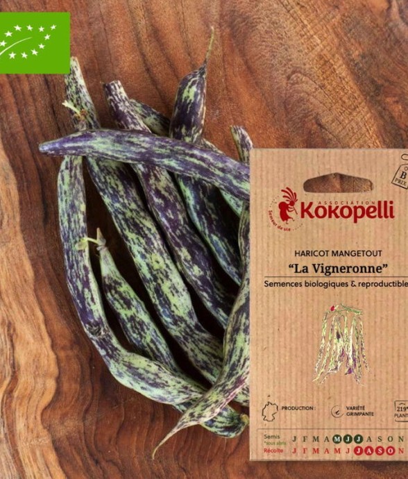 Haricot La Vigneronne-...