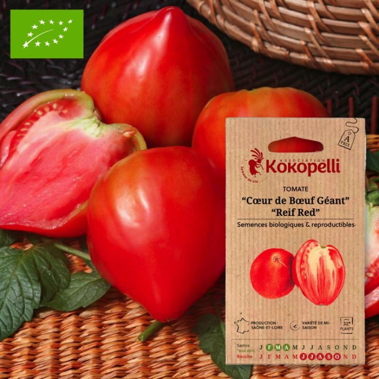 Tomate Rouge Mi-Saison Cœur de Bœuf Géant / Reif Red- Graines bio à semer