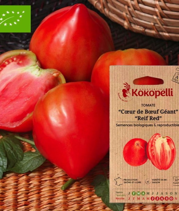 Tomate Rouge Mi-Saison Cœur...
