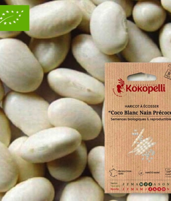 Haricot Coco Blanc- Graines...