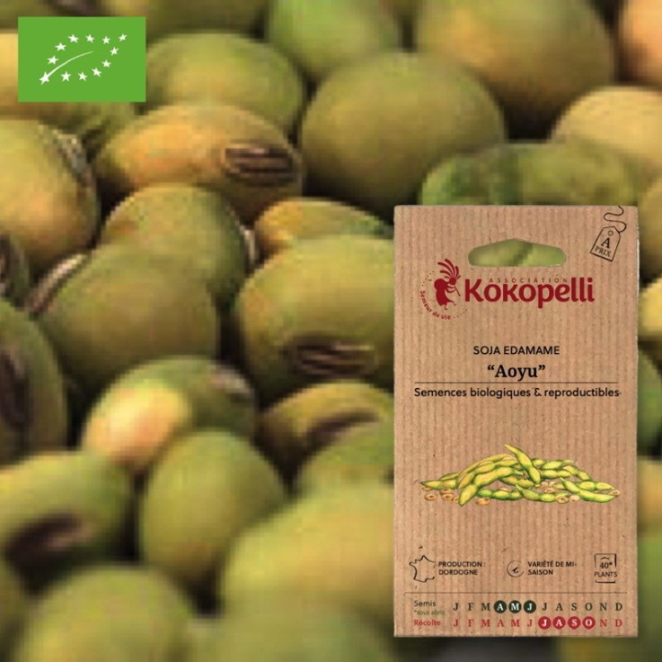 Soja Edamame Aoyu- Graines bio à semer