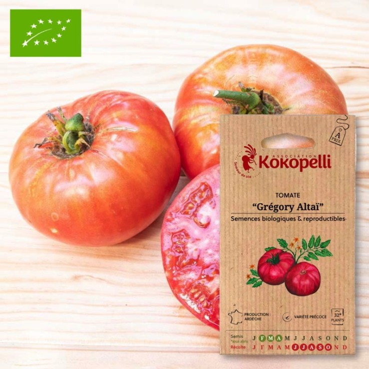 Tomate Rose Précoce Grégory Altaï- Graines bio à semer