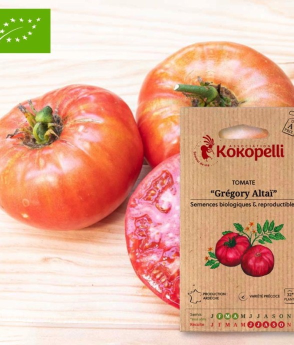 Tomate Grégory Altaï-...