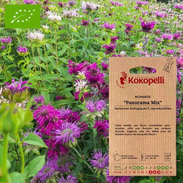 Monarde Panorama Mix- Graines bio à semer