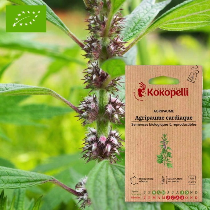 Agripaume Agripaume Cardiaque- Graines bio à semer