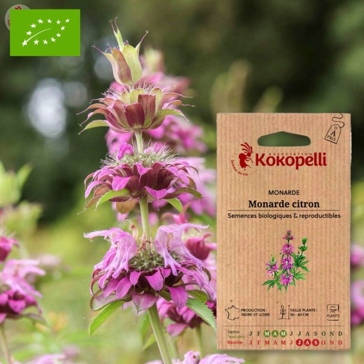 Monarde Monarde Citron- Graines bio à semer