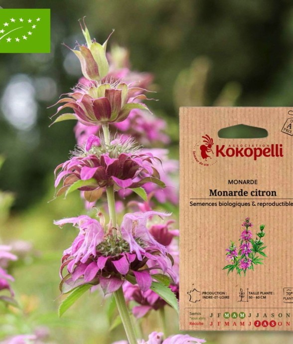 Monarde Citron- Graines bio...
