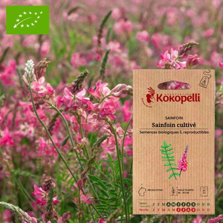 Sainfoin Cultivé- Graines bio à semer