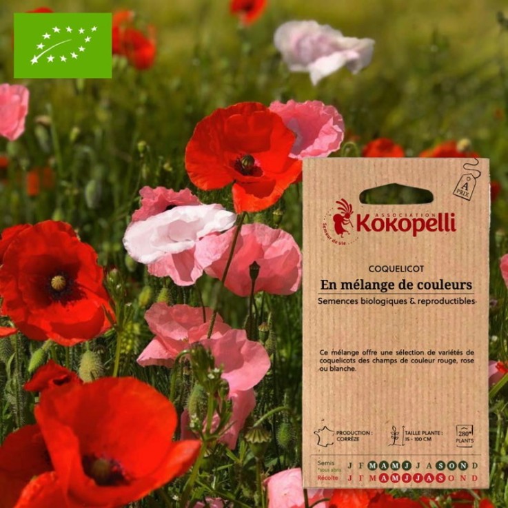 Coquelicot En Mélange de Couleurs- Graines bio à semer