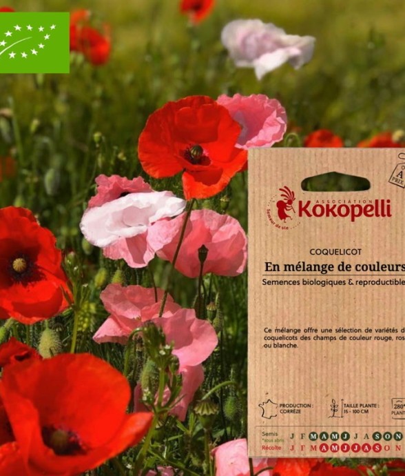 Coquelicot En Mélange-...