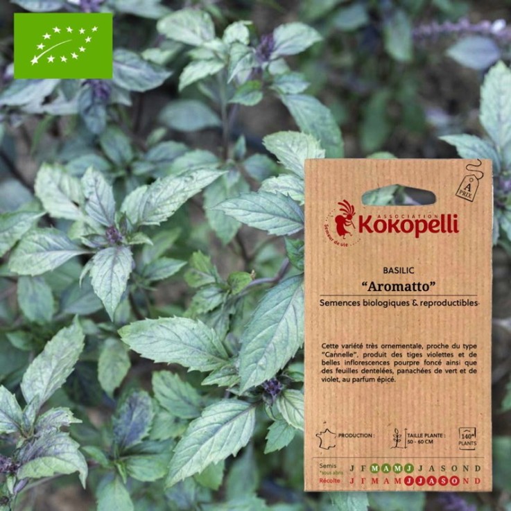 Basilic Aromatto- Graines bio à semer