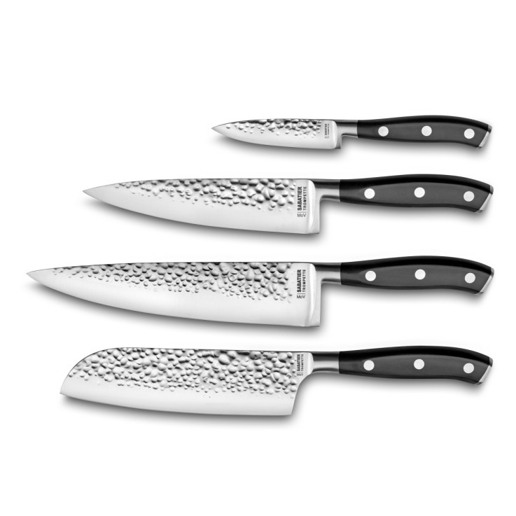 Set de 4 couteaux de cuisine en inox Carbon