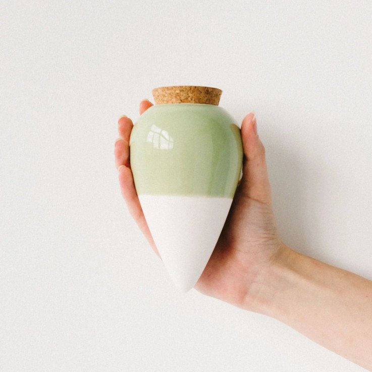 Olla Diffuseur d'eau naturel pour plantes