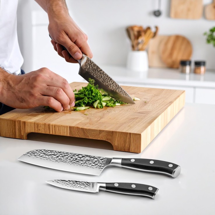 Coffret magnet avec 3 couteaux de cuisine en inox Carbon