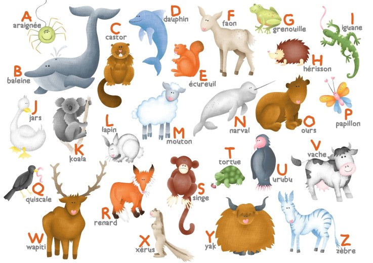 L'ALPHABET DES ANIMAUX