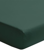 Vert foret