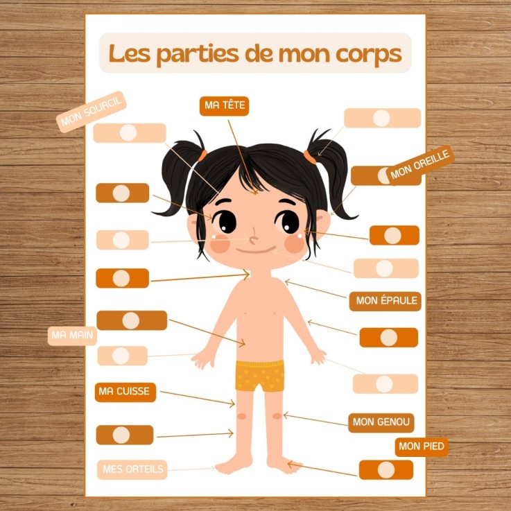 J'apprends les différentes parties de mon corps – Fille