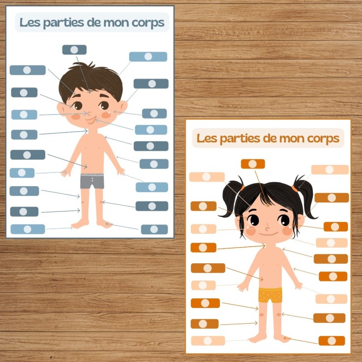 J'apprends les différentes parties de mon corps – Fille