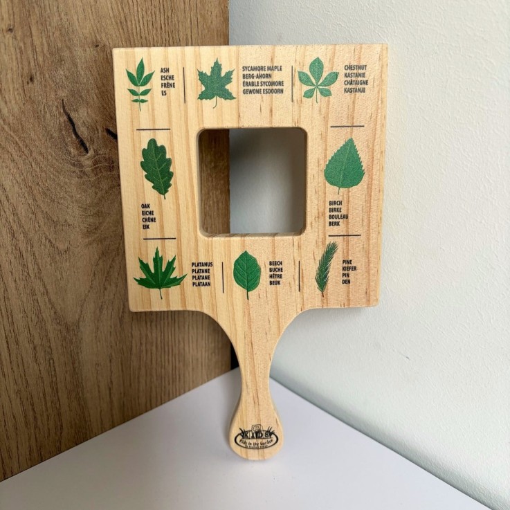 Cadre d'exploration feuilles