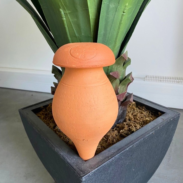 Ollas PIC à planter 0,5 L - Terre brute