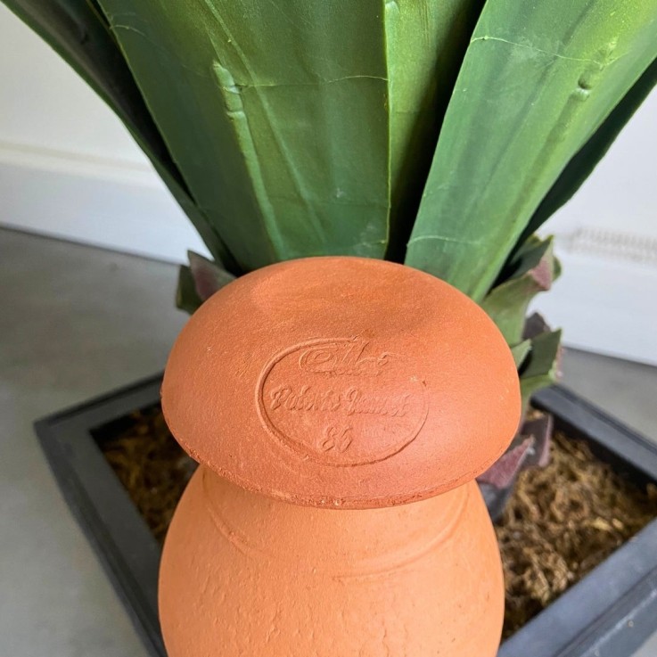Ollas PIC à planter 0,5 L - Terre brute