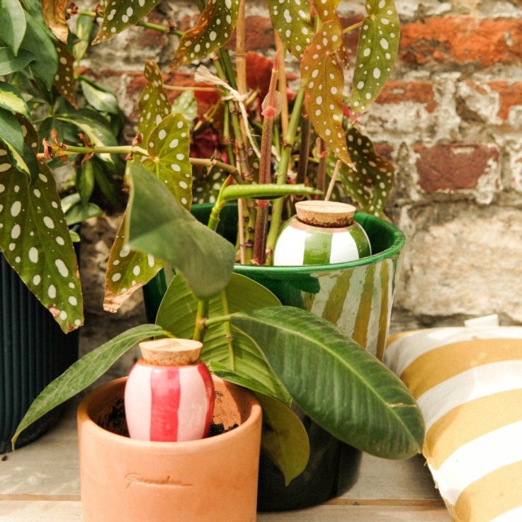 Trio Ollas Naturelles Mini Diffuseurs d'eau pour plantes - Les rayées
