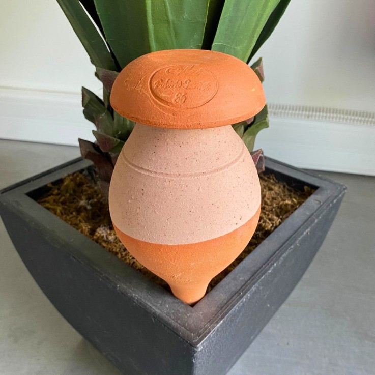 Ollas PIC à planter 0,5 L - Rose mat