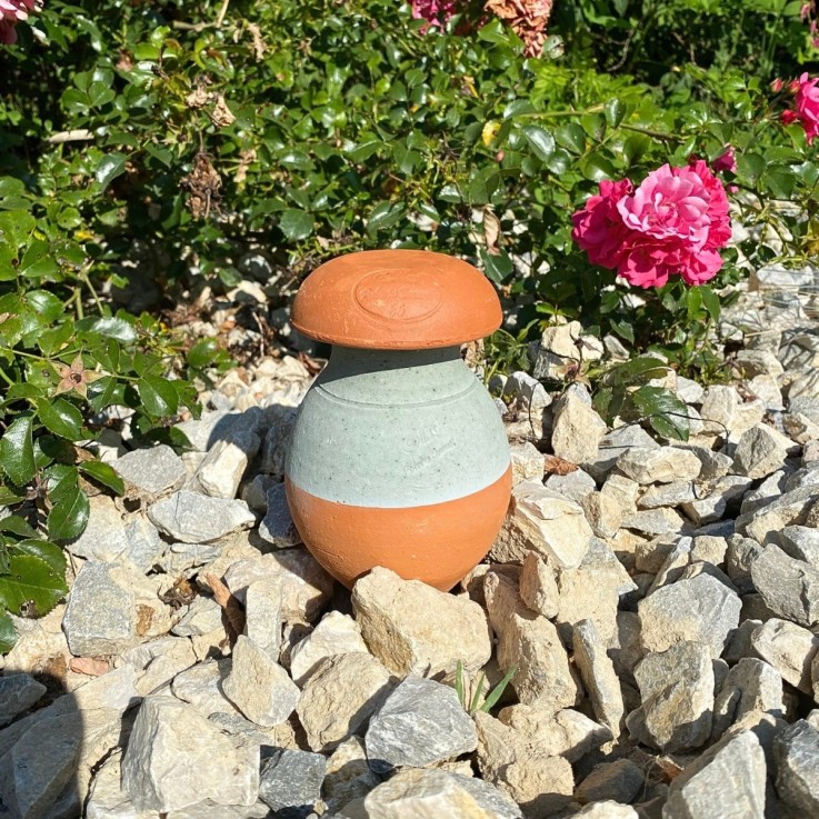 Ollas PIC à planter 0,5 L - Bleu mat