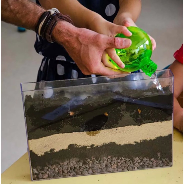 Vivarium - Observation des racines et vers de terre