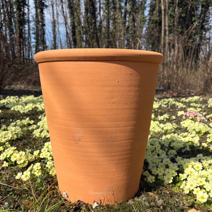 Pot d'ornementation Tilia