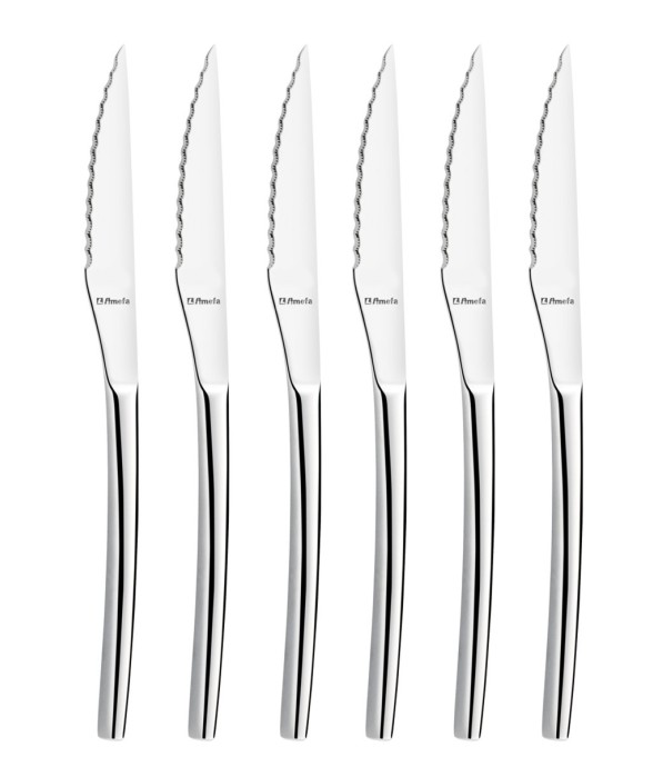 Coffret 6 couteaux steak en...