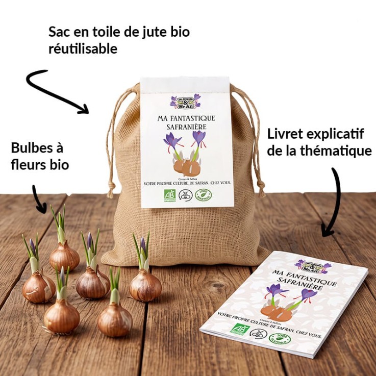 Kit de bulbes Bio - Ma fantastique safranière