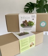 Kit potager d'intérieur prêt à planter 3 variétés bio - Basilic, Roquette, Coriandre