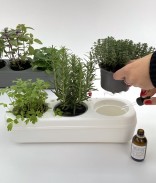 Kit potager d'intérieur prêt à planter 3 variétés bio - Basilic, Roquette, Coriandre