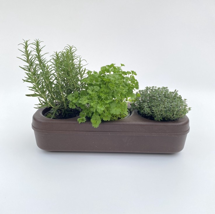 Kit de jardinage d'herbes aromatiques d'intérieur, système de culture  hydroponique