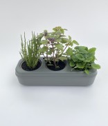 Kit potager d'intérieur prêt à planter - 3 herbes aromatiques Bio