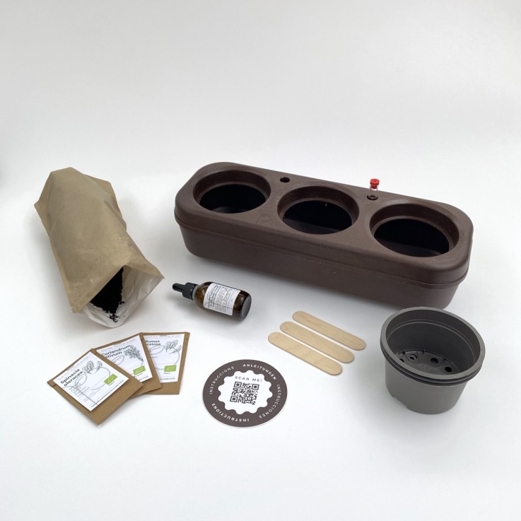 Kit potager d'intérieur prêt à planter - 3 légumes-feuille et fleurs comestibles bio